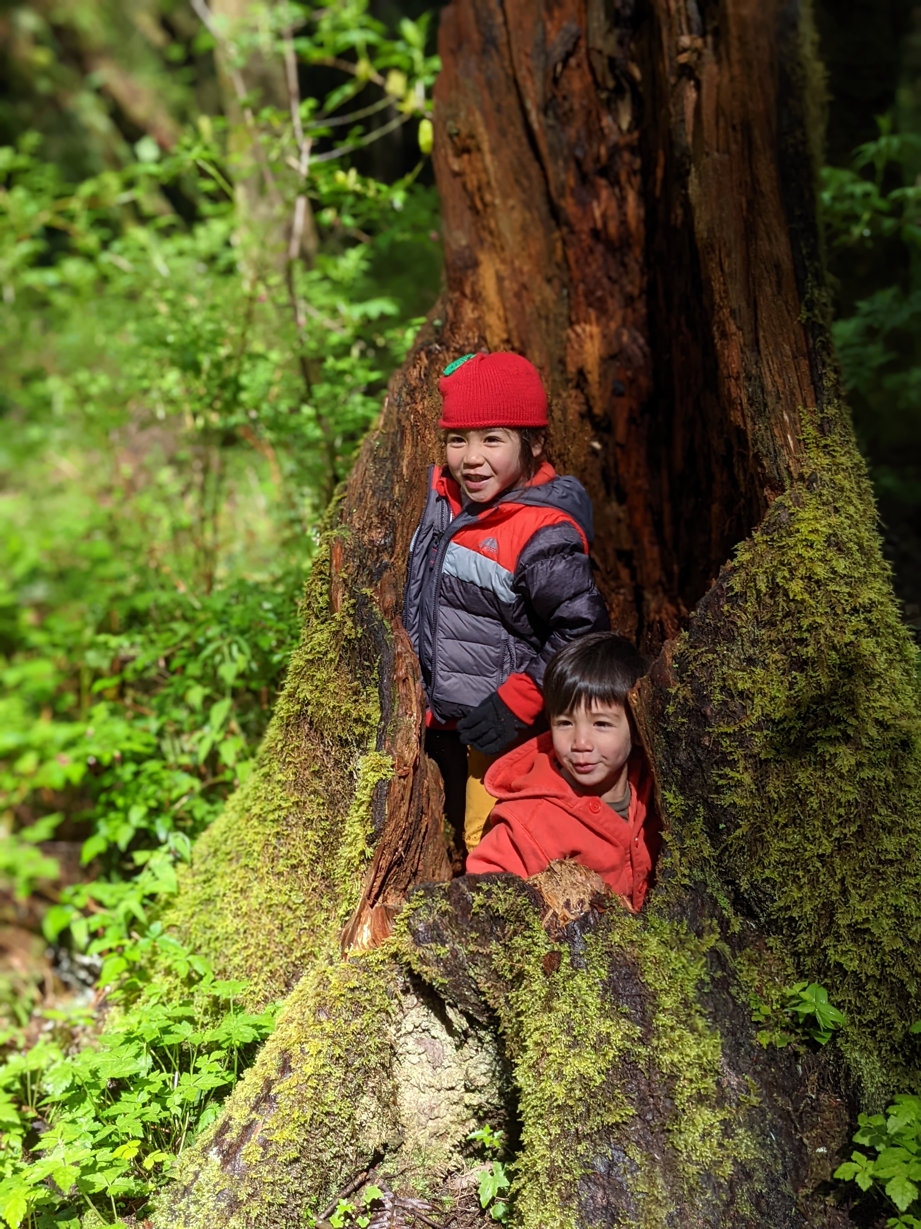 two little kids inside tree