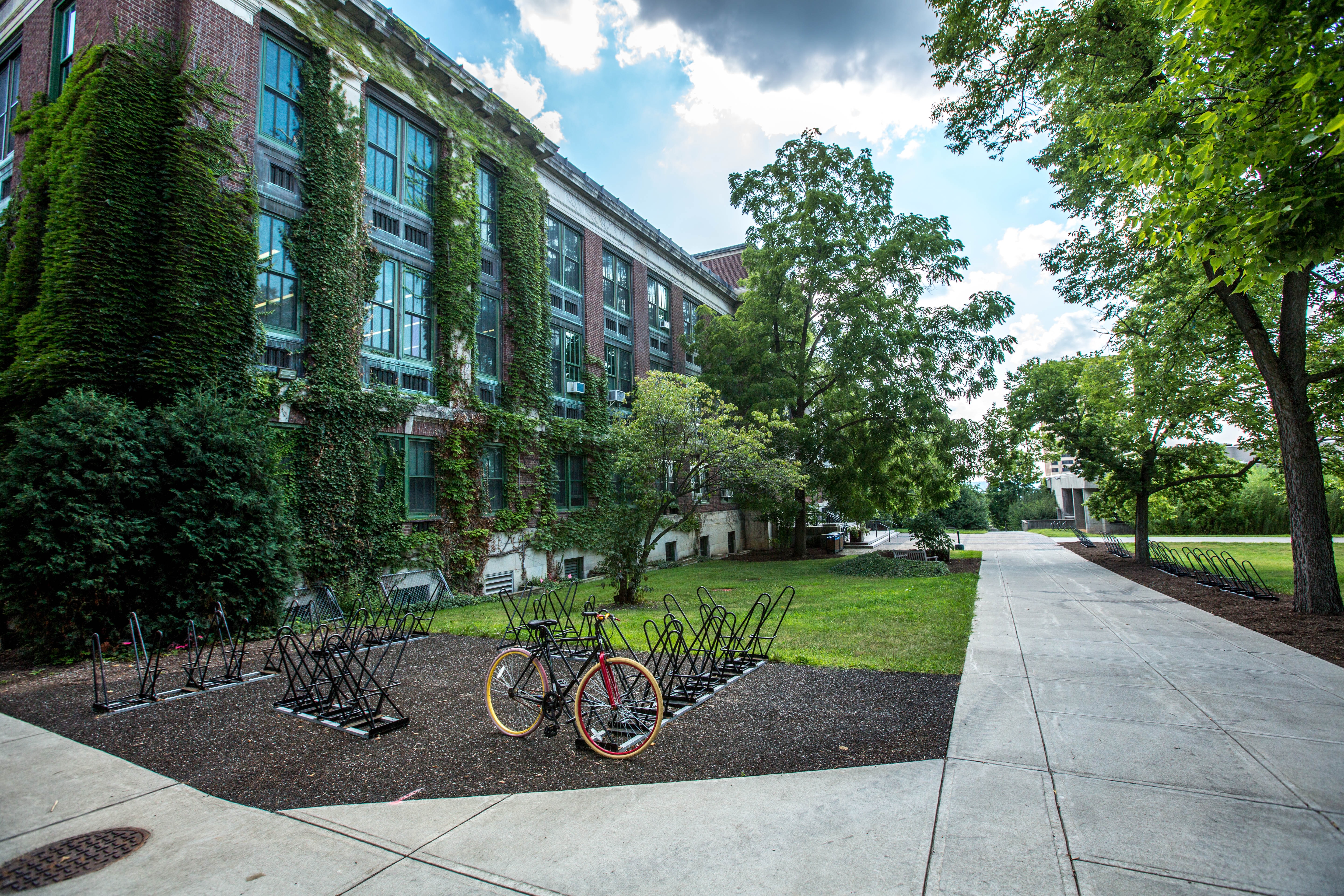 picture of a bike on a college campus